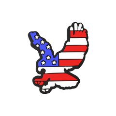 Budz | American Eagle